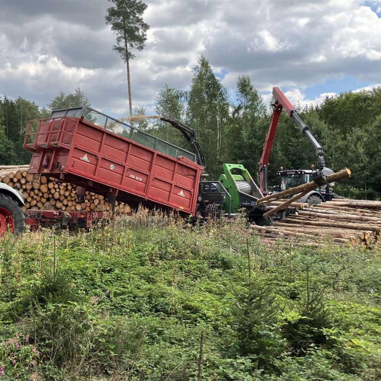 Holzernte mit schwerem Gerät